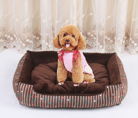 Hallupets Có thể tháo rời Giường thú cưng lớn thoải mái Kích thước Xl 1580g Nhà cho chó sang trọng