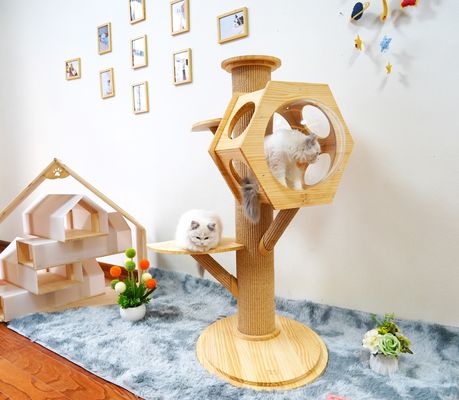 Giường thú cưng bằng gỗ hình lục giác sang trọng Tháp mèo leo núi với khoang ngủ không gian