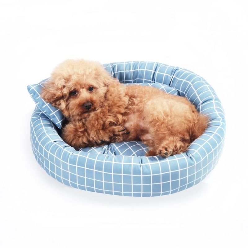 Bán buôn Giường tròn mềm mại ấm áp cho thú cưng với gối Donut Cuddler Cats Dogs Bed Giường thú cưng sang trọng với đáy chống trượt