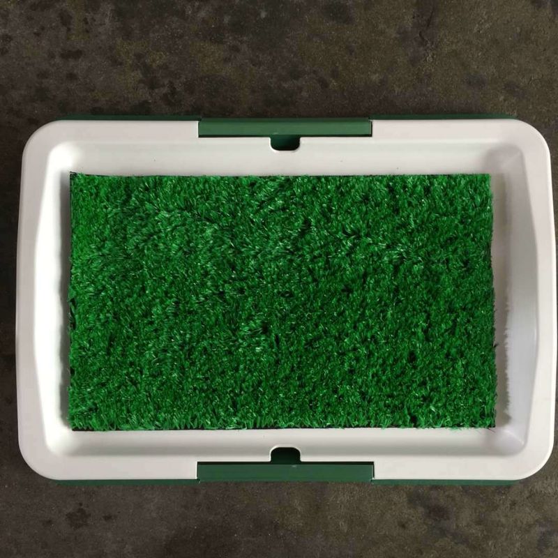 Nắp có thể tháo rời dễ dàng Dụng cụ chải lông cho thú cưng Khay bô cho chó trong nhà 1378g