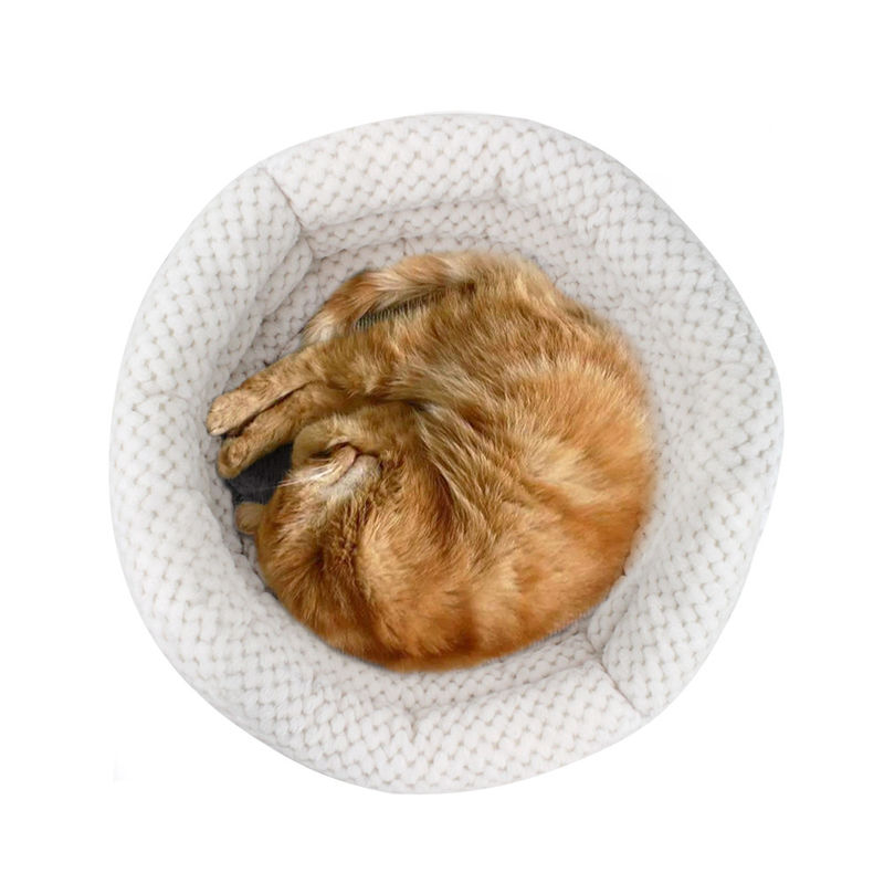 2021 Bán buôn Cuddle Cup Hình dạng giường cho mèo và chó Giường có tường cao cho giấc ngủ sâu Nhà vật nuôi có thể giặt được