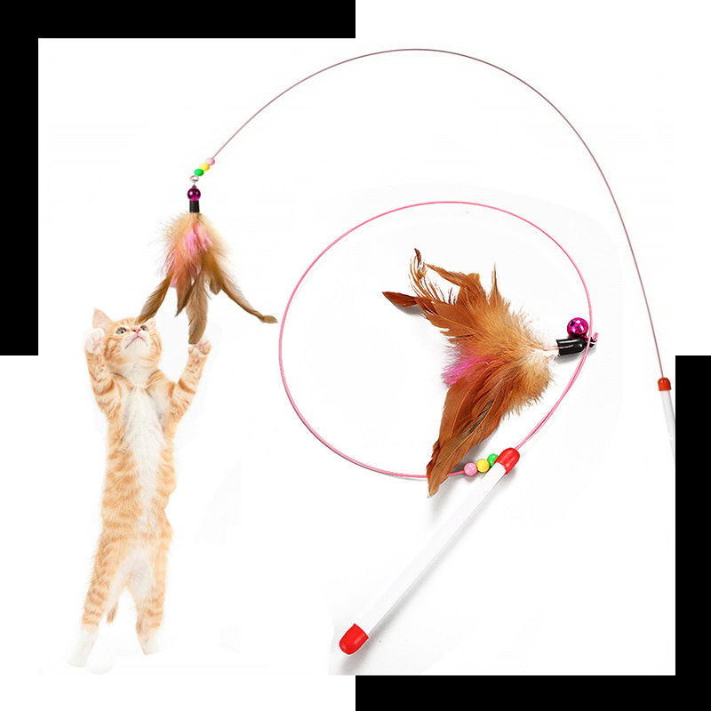 Hallupets Cat Pet Pet Toys