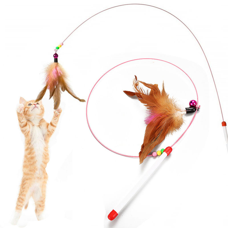 Hallupets Cat Pet Pet Toys