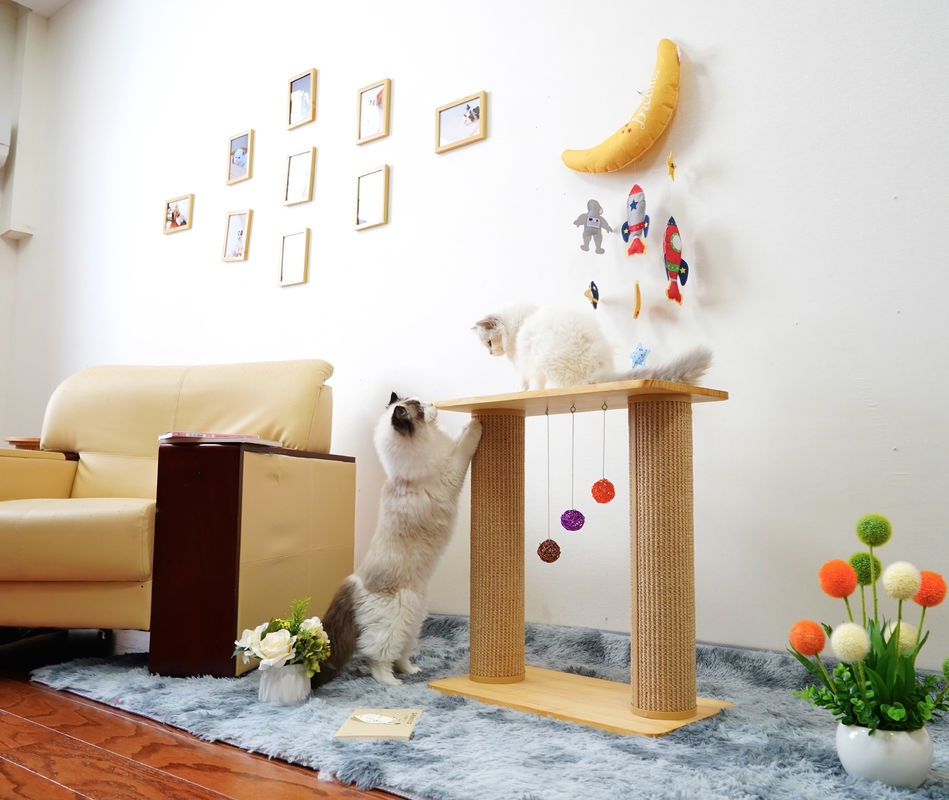 Cây bảng cào mèo rắn hai lớp 60 * 30 * 63cm