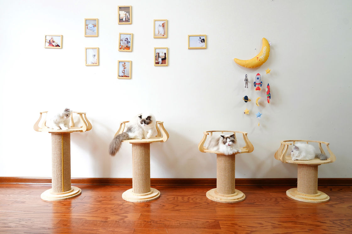 Thân thiện với môi trường Gỗ cào Mèo Trèo Cây Tháp Ảnh Mèo L Size 72cm M 62cm