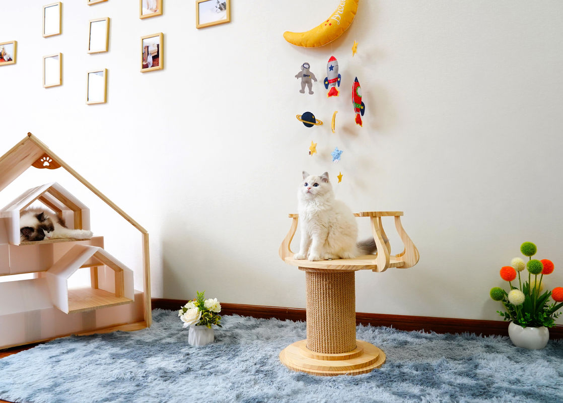 Thân thiện với môi trường Gỗ cào Mèo Trèo Cây Tháp Ảnh Mèo L Size 72cm M 62cm