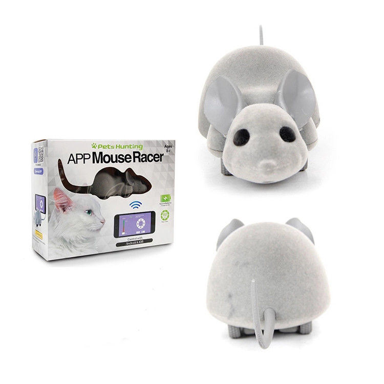 App Mouse Racer Đồ chơi mèo điều khiển bằng điện thoại với Android &amp; IOS tương tác