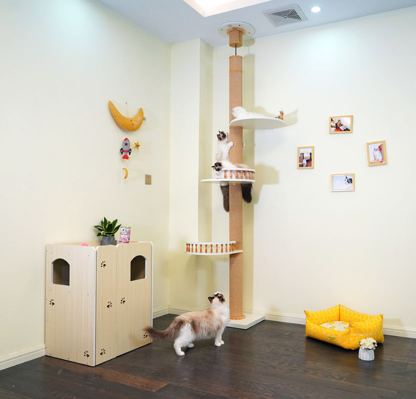 Con mèo gỗ lớn leo sàn cây lên trần nhà chơi 82 * 40 * 87cm