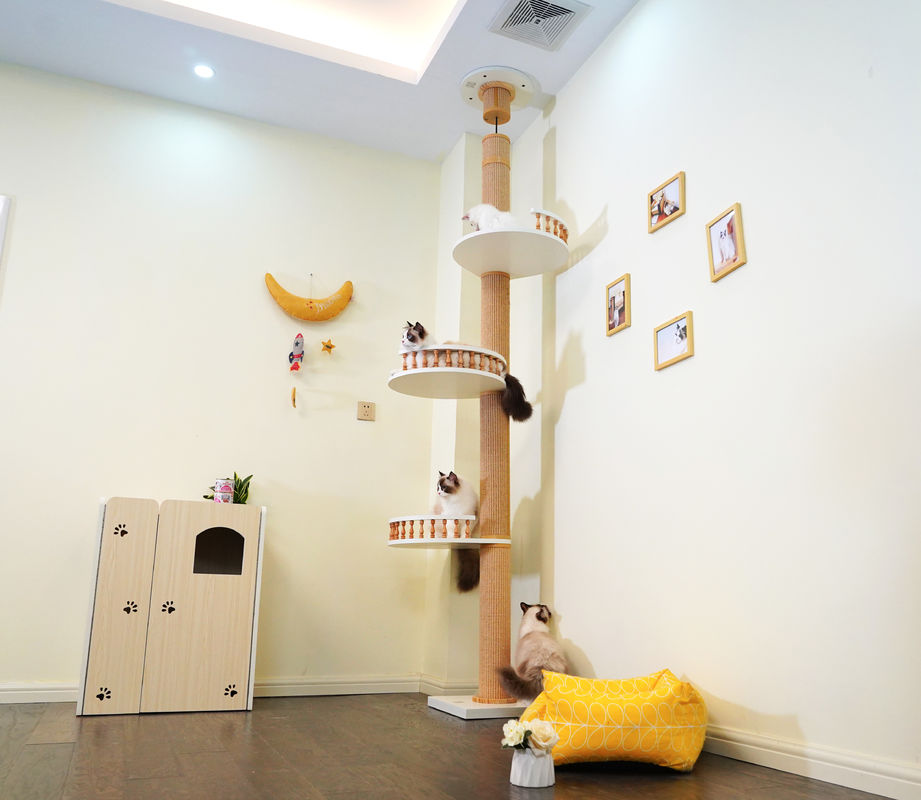 Con mèo gỗ lớn leo sàn cây lên trần nhà chơi 82 * 40 * 87cm