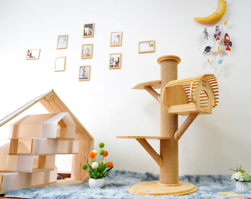 Cao 123cm Mèo gỗ rắn lớn Leo cây Tháp hoạt động của mèo có bài viết cào