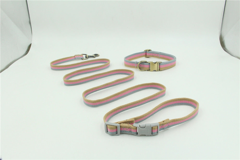Nylon Twisted Rope Dây buộc vật nuôi có thể được khắc bằng vải dệt kim cổ áo Dây kéo Bộ dây xích cho chó cưng