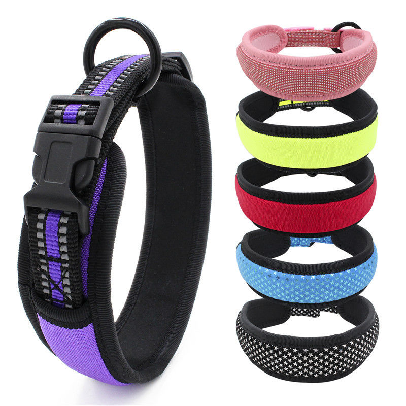 Neoprene con chó Lót cổ áo Dây xích cài đặt phản quang Webbing nhả nhanh Cổ áo khóa với dây kéo Bộ dây xích cho chó