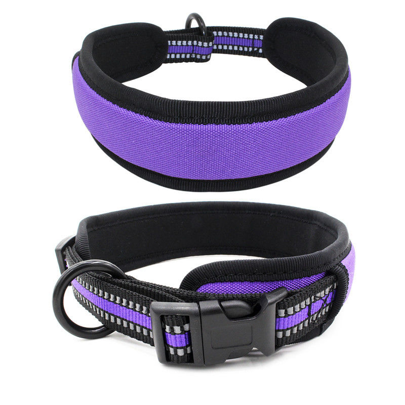 Neoprene con chó Lót cổ áo Dây xích cài đặt phản quang Webbing nhả nhanh Cổ áo khóa với dây kéo Bộ dây xích cho chó