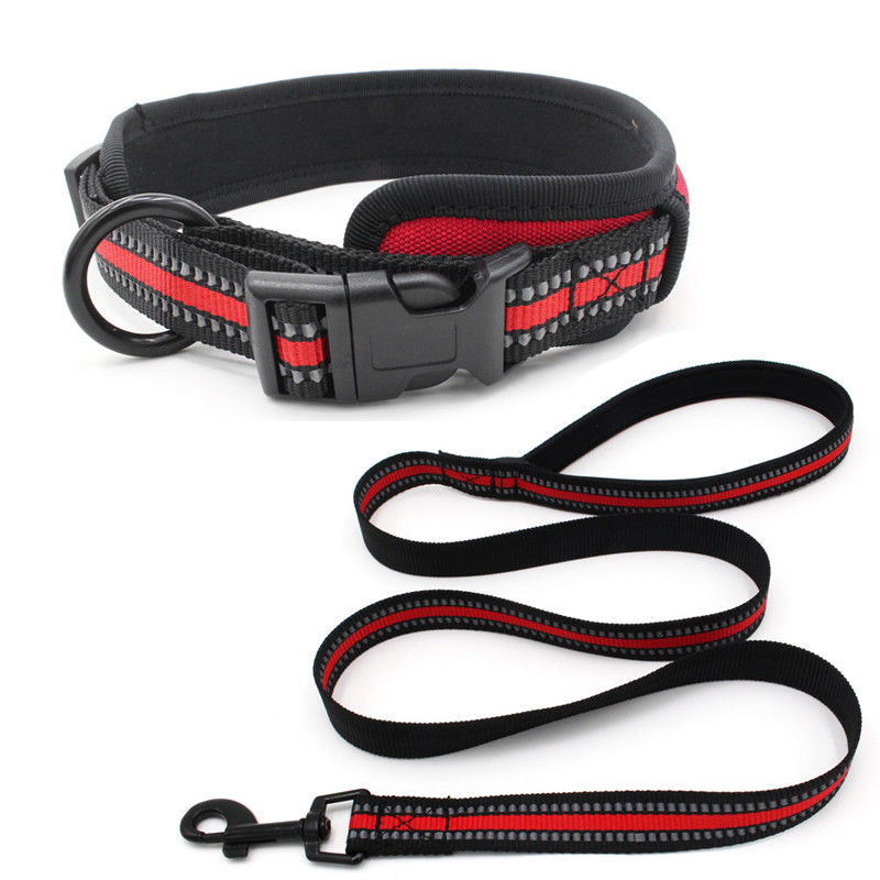 Neoprene con chó Lót cổ áo Dây xích cài đặt phản quang Webbing nhả nhanh Cổ áo khóa với dây kéo Bộ dây xích cho chó