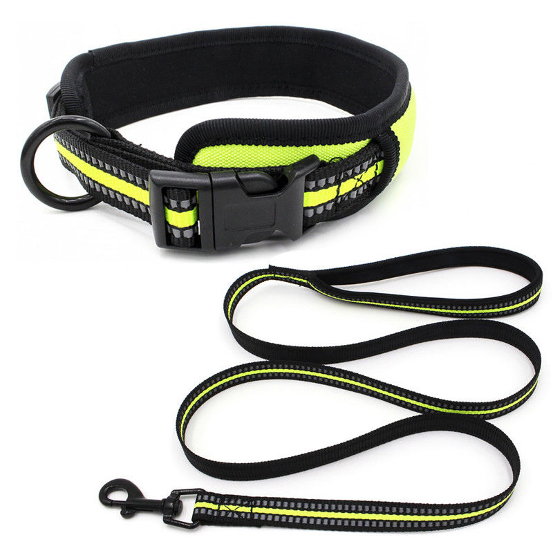 Neoprene con chó Lót cổ áo Dây xích cài đặt phản quang Webbing nhả nhanh Cổ áo khóa với dây kéo Bộ dây xích cho chó