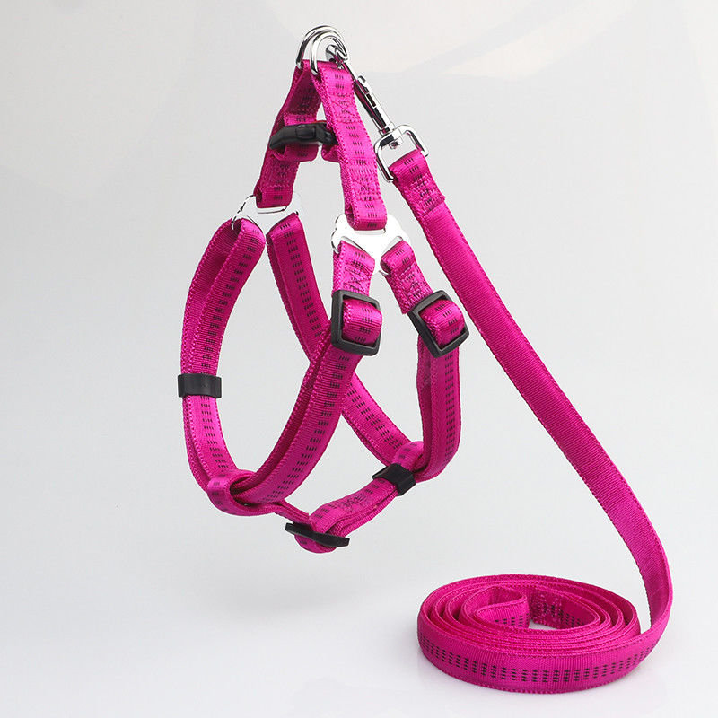 Không có chất hấp thụ kéo Không trượt Nylon Con chó phản quang có thể điều chỉnh Dây buộc dây xích Bộ