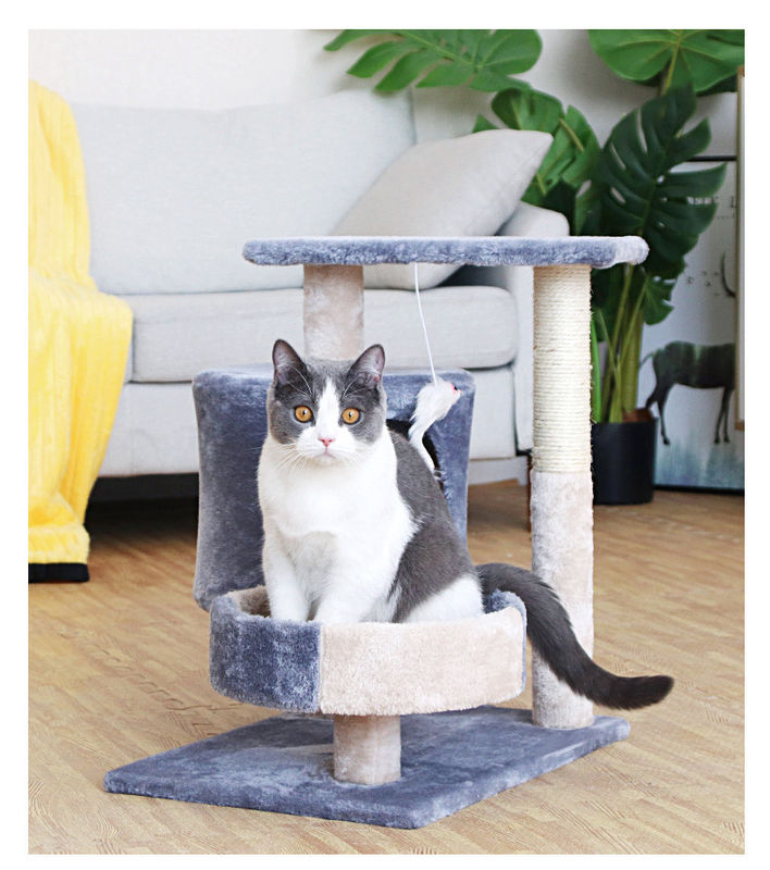 Chung cư nhiều tầng Tháp mèo leo núi Sisal Trụ cào mèo lớn