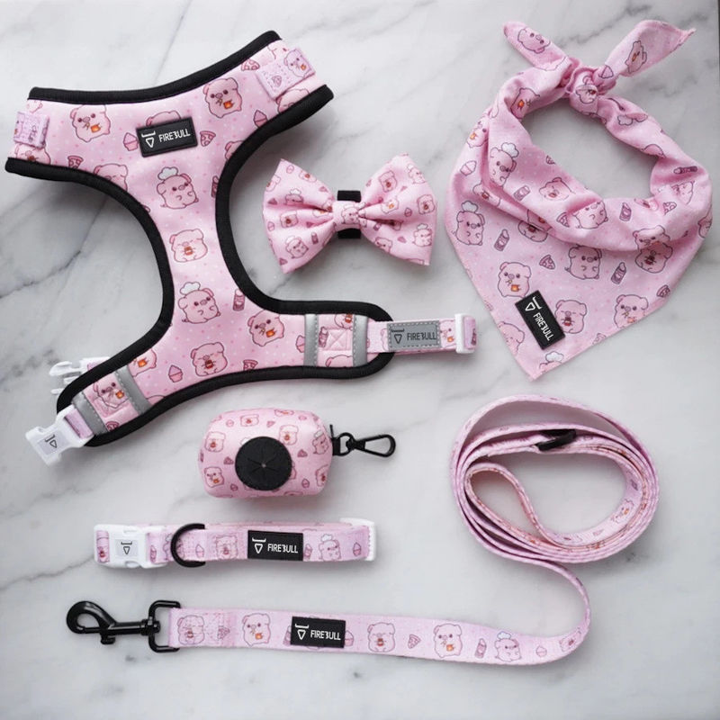 Bộ dây xích và dây buộc cổ và dây buộc bằng lưới mềm mại Nylon