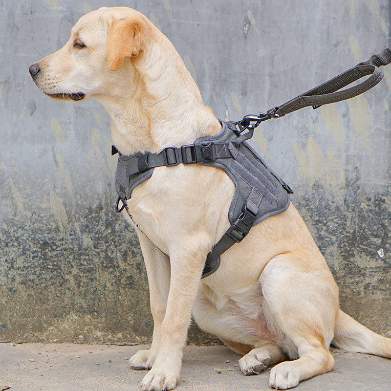 Áo khoác quân sự chiến thuật Dây buộc cho chó với khóa chiến thuật ODM Molle An toàn cho Dịch vụ &amp; Huấn luyện Áo khoác cho chó quân sự