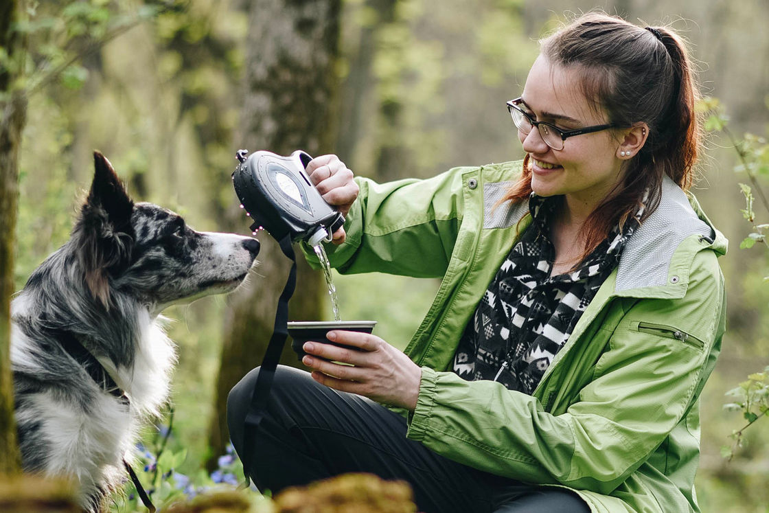 SEDEX Dogs Travel Bình nước Thiết kế bát tất cả trong một dây xích chó