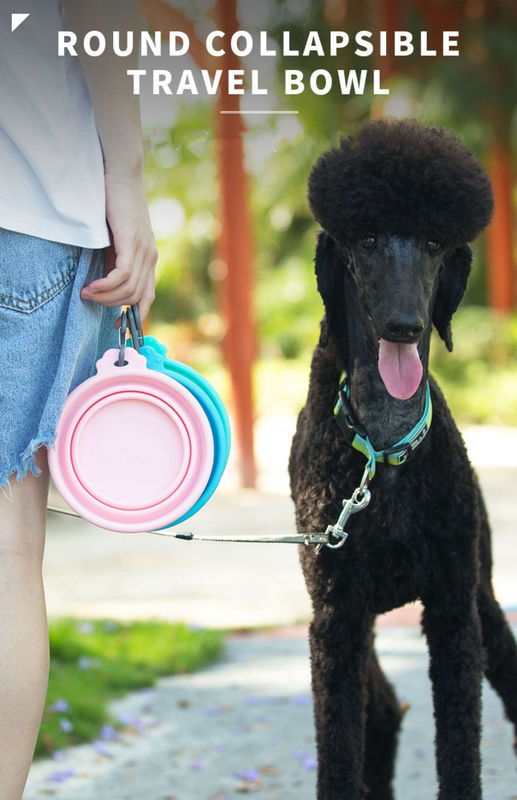 Bát nước du lịch silicone ngoài trời cho chó Thức ăn cho chó mèo và bát nước