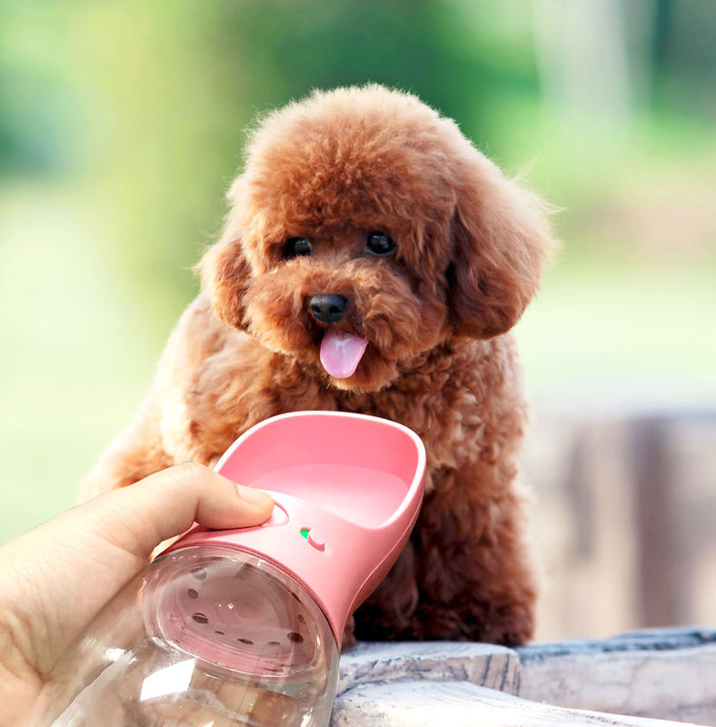 Cốc uống nước 12-20OZ Bình nước cho chó có thể gập lại di động để đi dạo